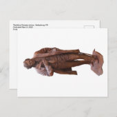 GettysburgのThaddeus Stevens像、PAポストカード ポストカード (正面/裏面)