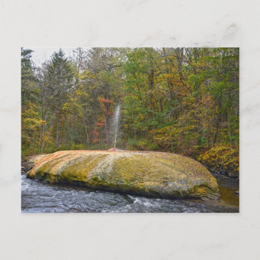 Geyser Island Spouter, Saratoga春，ニューヨーク ポストカード (正面)