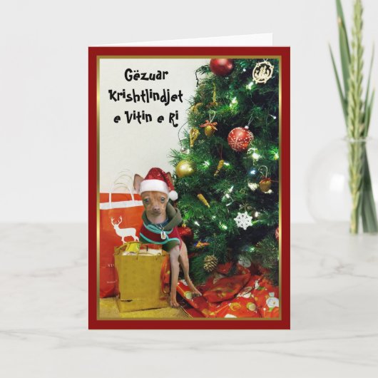 Gëzuar Krishtlindjet e Vitin e Riのチワワカード シーズンカード (正面)