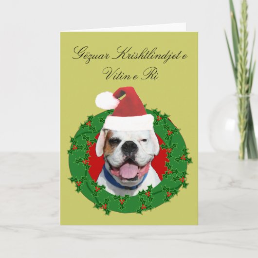 Gëzuar Krishtlindjet e Vitin e Riのボクサーカード シーズンカード (正面)