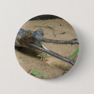 Gharial 缶バッジ