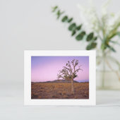 " Ghostry Shape Shifter " ポストカード (スタンド正面)