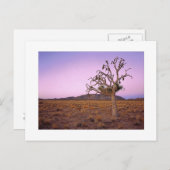 " Ghostry Shape Shifter " ポストカード (正面/裏面)