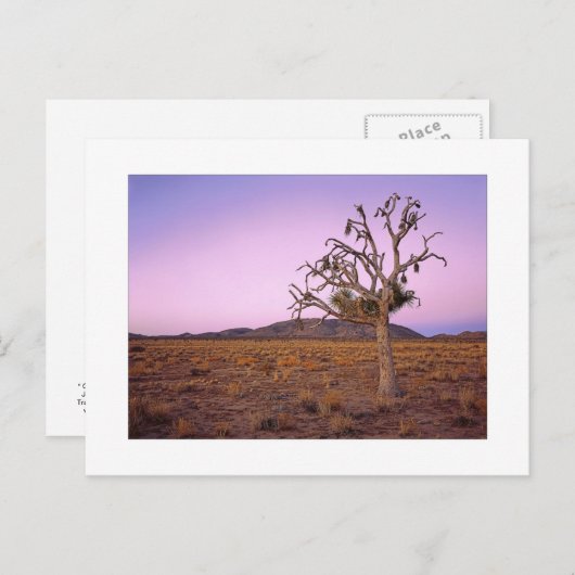 " Ghostry Shape Shifter " ポストカード (正面/裏面)