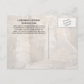 Giant and Twin Domes, Carlsbad Caverns NPポストカード ポストカード (裏面)