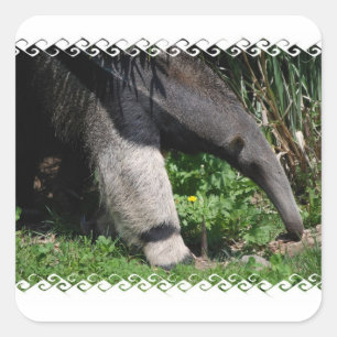Giant Anteaterフォトステッカー スクエアシール