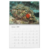 Giant Clams Wall Calendar 2 by James W. Fathree. カレンダー (1月 2027)