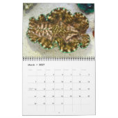 Giant Clams Wall Calendar 2 by James W. Fathree. カレンダー (3月 2027)