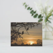 Giant Eagle Owls (Bubo lacteus)がシルエットで ポストカード (スタンド正面)