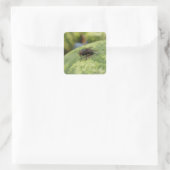 GIANT Flyステッカーセット スクエアシール (バッグ)