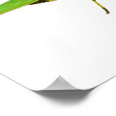 Giant Green Praying Mantis Poster ポスター (角)