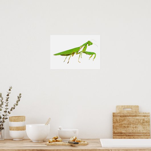 Giant Green Praying Mantis Poster ポスター (キッチン)