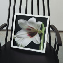 Giant Himalayan Lily Photo Glossy