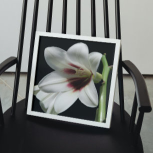 Giant Himalayan Lily Photo Glossy ポスター