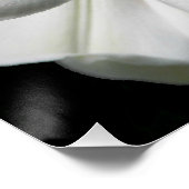 Giant Himalayan Lily Photo Glossy ポスター (コーナー)