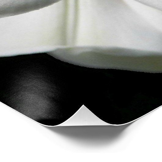 Giant Himalayan Lily Photo Glossy ポスター (コーナー)