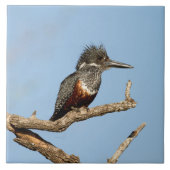 Giant Kingfisher タイル (正面)