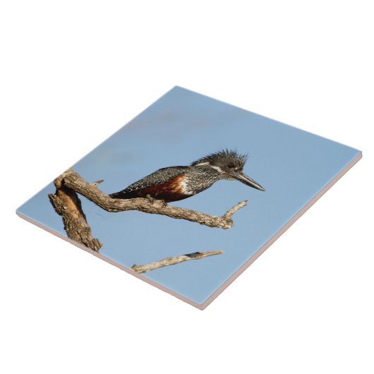 Giant Kingfisher タイル (側面)