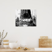 GIANT REDWOOD on SUNDAY c. 1890 ポスター (キッチン)