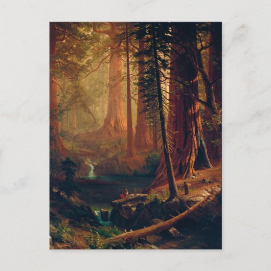 Giant Redwood Trees of California by A. Bierstadt ポストカード (正面)