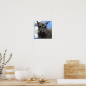 Giant Schnauzer Poster ポスター (キッチン)