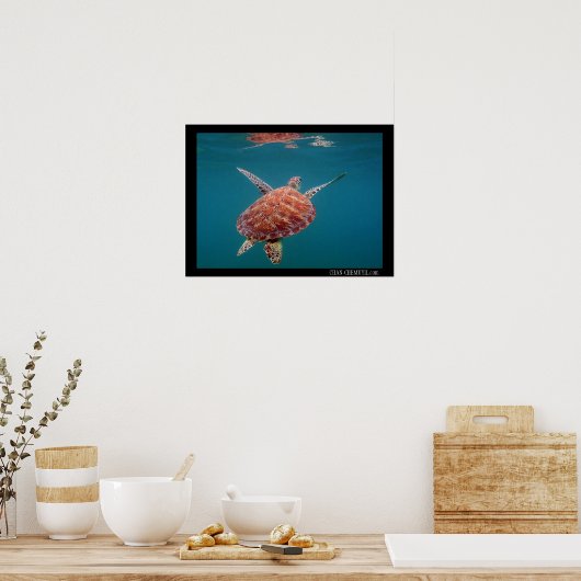 Giant Sea Turtle Poster ポスター (キッチン)