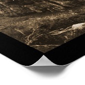 Giant Sequoia写真疑問に思1915 ポスター (角)