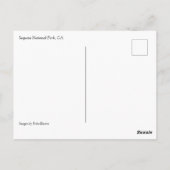 Giant Sequoias in Grant Grove, CAポストカード ポストカード (裏面)