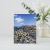 Giants Causeway、County Antrim、北部 ポストカード (スタンド正面)