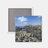 Giants Causeway、County Antrim、北部 マグネット (正面/裏面)