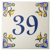 Giardino dei Limoni – House Number Ceramic Tile タイル (正面)