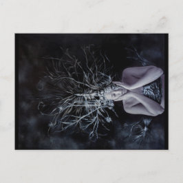 GIAWILワイズグレー ポストカード