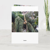 Gibbon,_Just_Chillin,_Greeting_Card. カード (裏面)