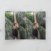 Gibbon,_Just_Chillin,_Greeting_Card. カード (内部)