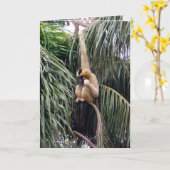 Gibbon,_Just_Chillin,_Greeting_Card. カード (黄色い花)