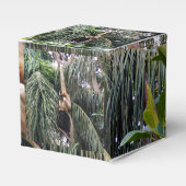 Gibbon Monkey Just Chillin，お気に入りパーティーボックス フェイバーボックス (正面サイド)