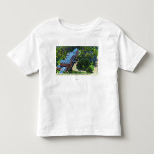 Gideon Putnamのホテルの空中写真、スパ トドラーTシャツ