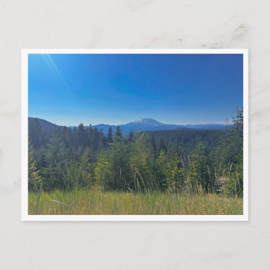 Gifford Pinchot National Forest ポストカード (正面)