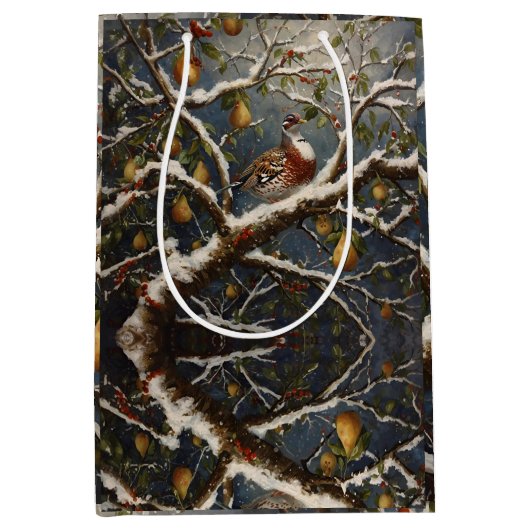 Gift Bag ミディアムペーパーバッグ (正面)