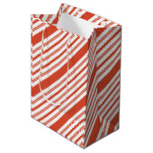 Gift Bag ミディアムペーパーバッグ (正面アングル)