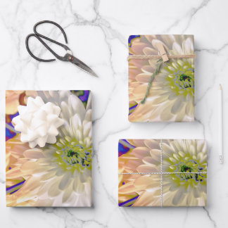 Gift Bag ラッピングペーパーシート