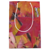 Gift Bag - Fall Leaves ミディアムペーパーバッグ (正面)