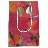 Gift Bag - Fall Leaves ミディアムペーパーバッグ (裏面)