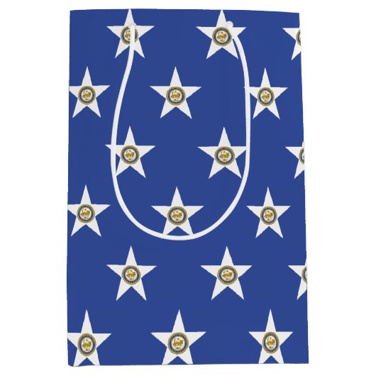 Gift Bag with flag of  Houston, Texas, USA ミディアムペーパーバッグ (正面)