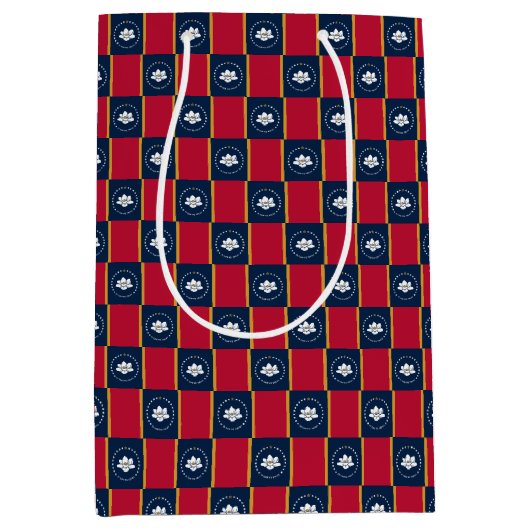 Gift Bag with flag of Mississippi, USA ミディアムペーパーバッグ (正面)