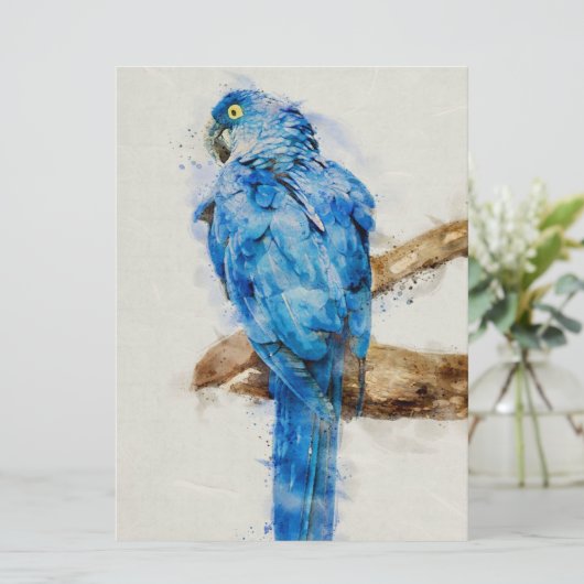 Gift For Family | Beautiful Birds | Funny Parrot  (スタンド正面)