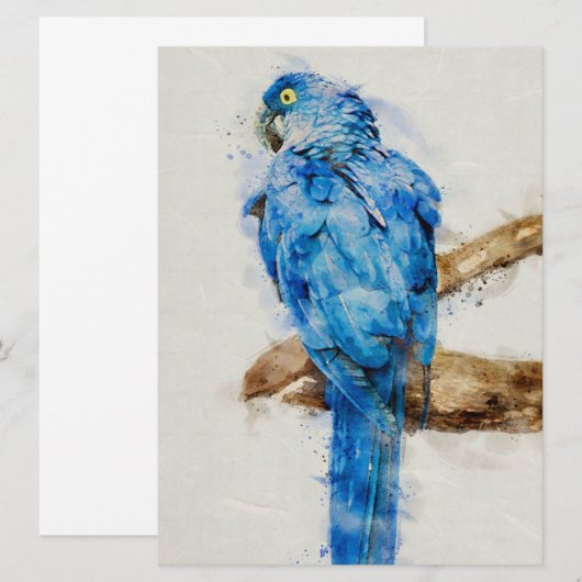 Gift For Family | Beautiful Birds | Funny Parrot  (正面/裏面)