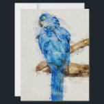 Gift For Family | Beautiful Birds | Funny Parrot<br><div class="desc">Beautiful Design is perfect for birthday, parties and can be used to add a splash of color to all of your gifts. Also great for Showers, Weddings, Events, and any of your other seasonal gifting needs. Gift for family and friends on Birthday, Christmas, Thanksgiving, Halloween, Valentine's Day, Mother's Day or...</div>