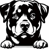  Gift for Rottweiler-Loving Golfers ゴルフヘッドカバー