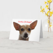 GiGi、別の誕生日か。 カード (黄色い花)